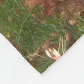 Kevin the Turkey - Old Wethersfield , CT Fleecedecke (Ecke)