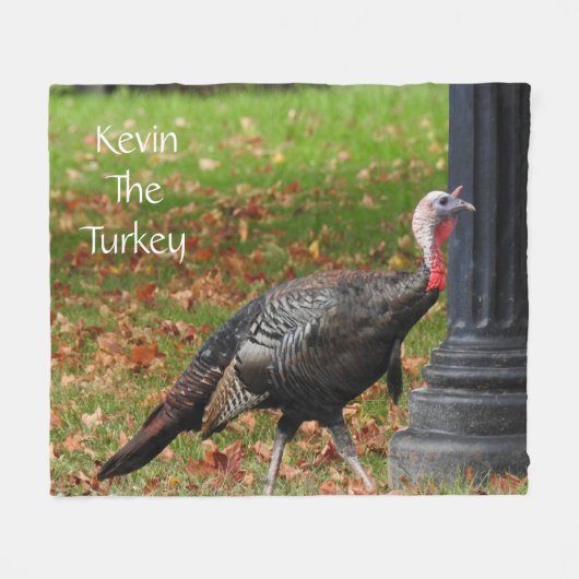 Kevin the Turkey - Old Wethersfield , CT Fleecedecke (Vorderseite (Horizontal))