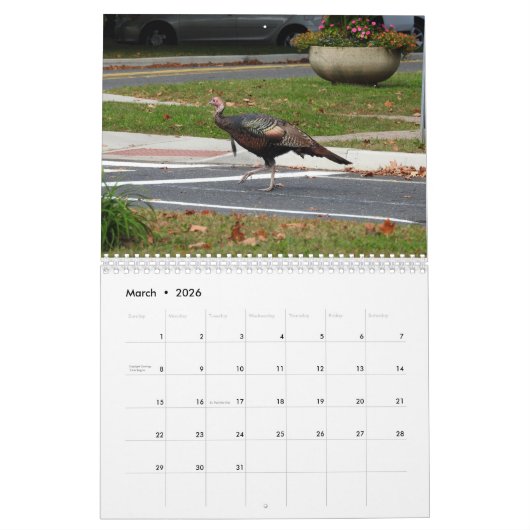 Kevin the Turkey - Old Wethersfield , CT Kalender (Mär 2026)