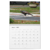 Kevin the Turkey - Old Wethersfield , CT Kalender (Mär 2027)