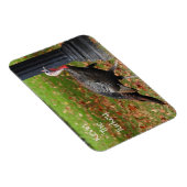 Kevin the Turkey - Old Wethersfield , CT Magnet (Rechte Seite)