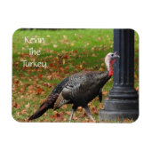 Kevin the Turkey - Old Wethersfield , CT Magnet (Horizontal)