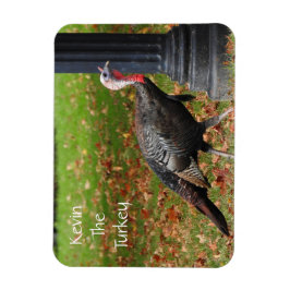 Kevin the Turkey - Old Wethersfield , CT Magnet