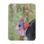 Kevin the Turkey - Old Wethersfield , CT Magnet (Vertikal)