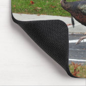Kevin the Turkey - Old Wethersfield, CT Mousepad (Ecke)