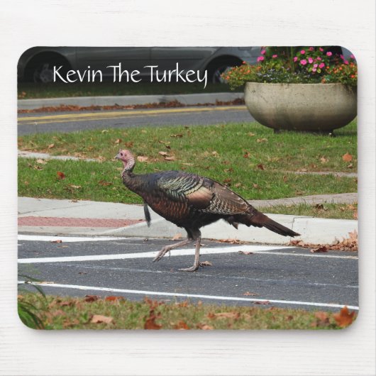Kevin the Turkey - Old Wethersfield, CT Mousepad (Vorne)