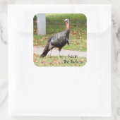Kevin the Turkey - Old Wethersfield , CT Quadratischer Aufkleber (Tasche)