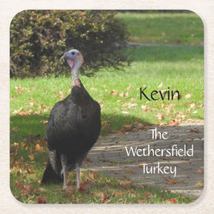 Kevin the Turkey - Old Wethersfield , CT Rechteckiger Pappuntersetzer