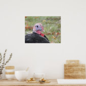 Kevin the Turkey - Old Wethersfield Poster (Küche)