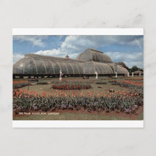 Kew Gardens Palm House Vintage Floral Ansicht Postkarte