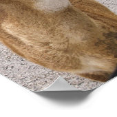 Key Dee Speaker Poster (Ecke)