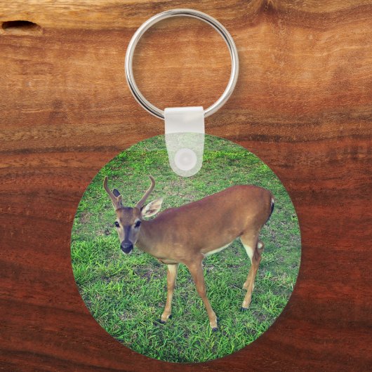 Key Deer Schlüsselanhänger (Vorderseite)