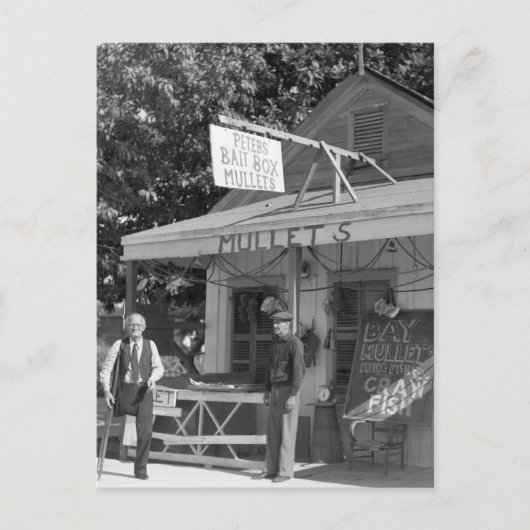 Key West Bait Shop, 1930 Postkarte (Vorderseite)