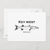 Key West Barracuda Postkarte (Vorne/Hinten)