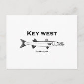 Key West Barracuda Postkarte (Vorderseite)