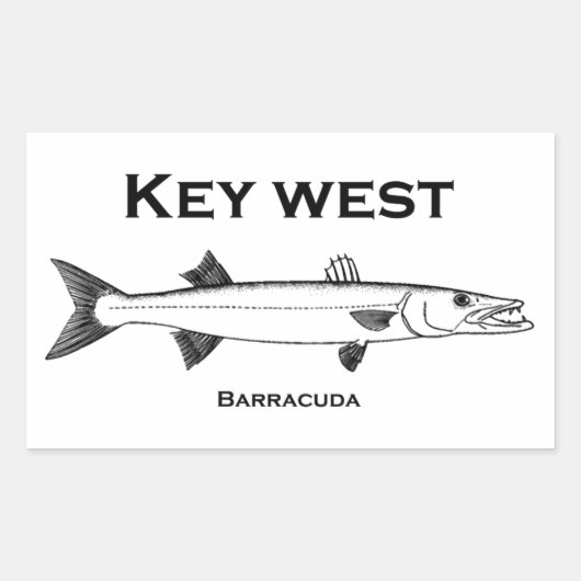 Key West Barracuda Rechteckiger Aufkleber (Vorderseite)