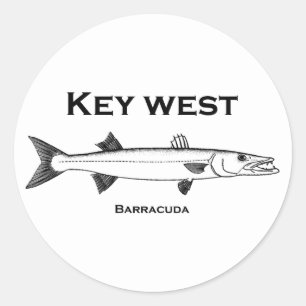 Key West Barracuda Runder Aufkleber
