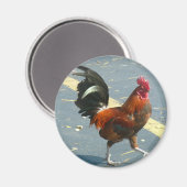 Key West Chicken Magnet (Vorderseite/Rückseite)