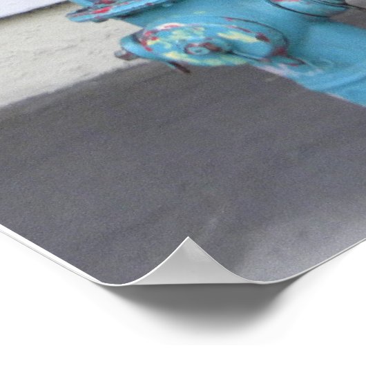 Key West Fire Hydrant Poster (Ecke)