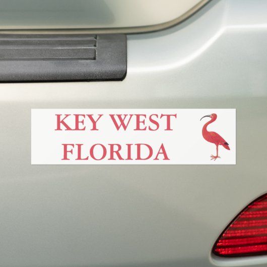 KEY WEST FLORIDA | Flamingo-Autoaufkleber Autoaufkleber (Auf Auto)