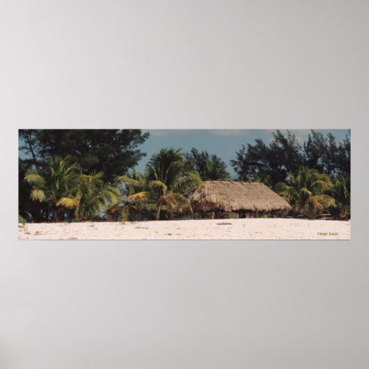 Key West Florida mit Palmen Poster (Vorne)
