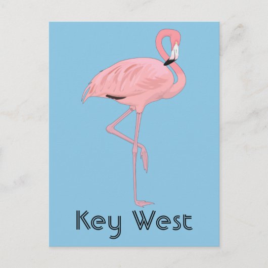 Key West Florida Pink Flamingo Postkarte (Vorderseite)