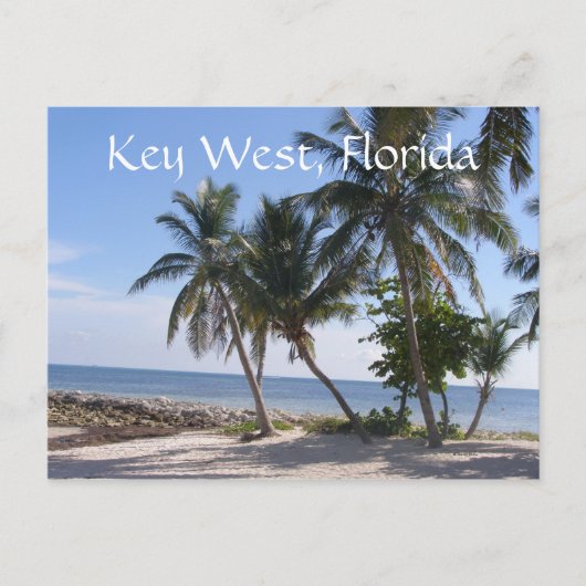Key West, Florida Postkarte (Vorderseite)