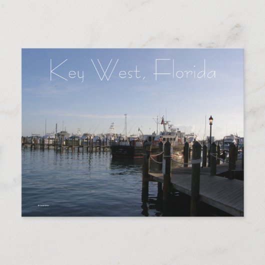 Key West, Florida Postkarte (Vorderseite)