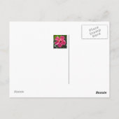 Key West Florida Postkarte (Rückseite)