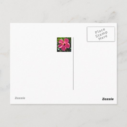 Key West Florida Postkarte (Rückseite)