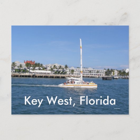 Key West, Florida Postkarte (Vorderseite)