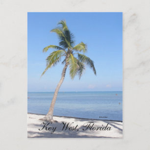 Key West, Florida Postkarte