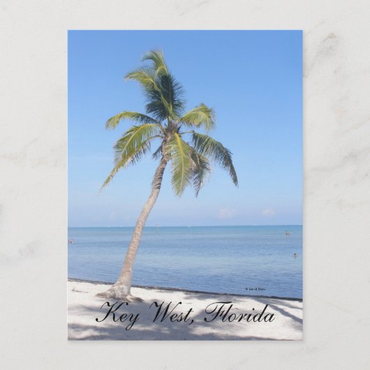 Key West, Florida Postkarte (Vorderseite)