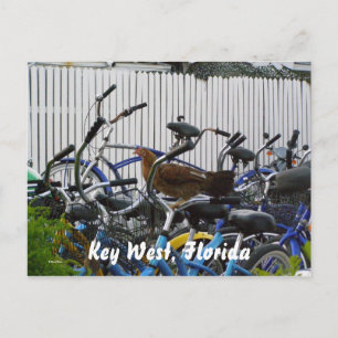 Key West, Florida Postkarte