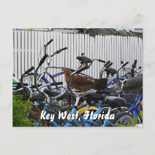 Key West, Florida Postkarte (Vorderseite)