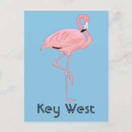 Key West Florida Rosa Flamingo Postkarte