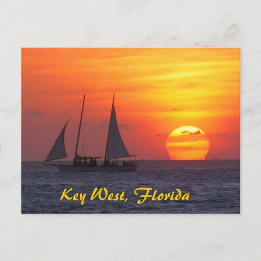 Key West, Florida Sunset Postcard Postkarte (Vorderseite)