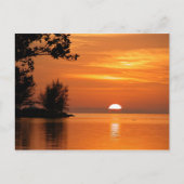 Key West Florida Sunset Postkarte (Vorderseite)