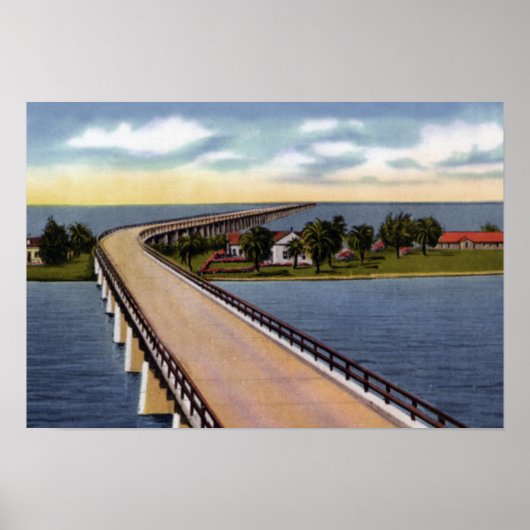 Key West Florida Taube Poster (Vorne)