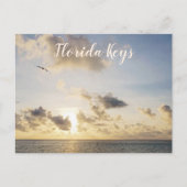 Key West Golden Sunset mit Vogel Flying Postkarte (Vorderseite)