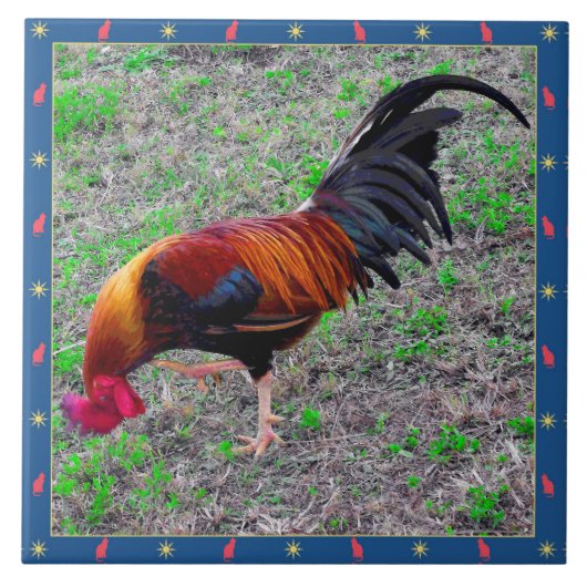 Key West-Hahn Fliese (Vorderseite)