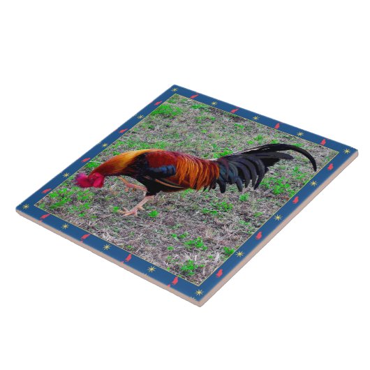 Key West-Hahn Fliese (Seite)