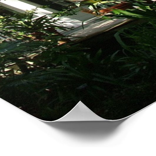 Key West House Poster (Ecke)