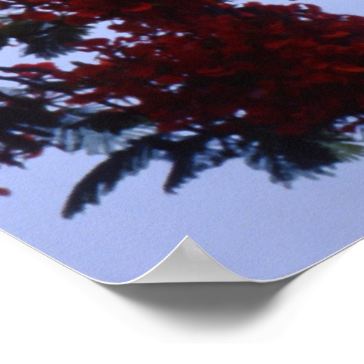 Key West Lighthouse Poster (Ecke)