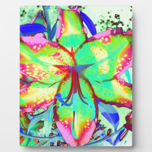 Key West Lily Fotoplatte (Vorderseite)