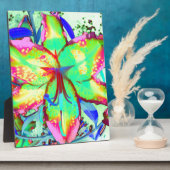 Key West Lily Fotoplatte (Seite)