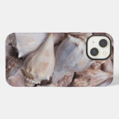 Key West, Muscheln iPhone Hülle (Rückseite (Horizontal))