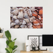 Key West, Muscheln Poster (Heimbüro)