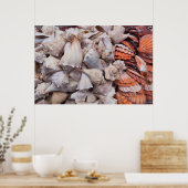 Key West, Muscheln Poster (Küche)