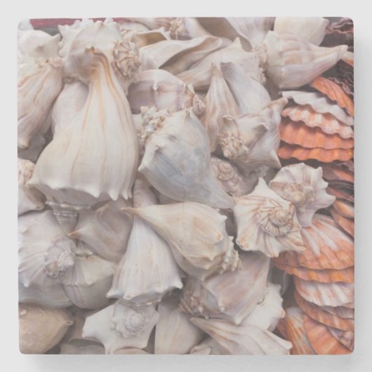 Key West, Muscheln Steinuntersetzer (Vorderseite)